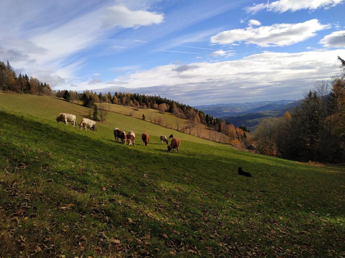 Almbauer Morgenbesser Trattenbach  Exterior photo